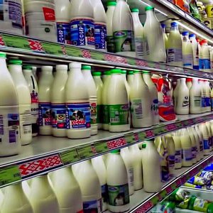 Запрет на поставки молока из Белоруссии снова перенесён-Транспортная компания Союзхимтранс-Авто